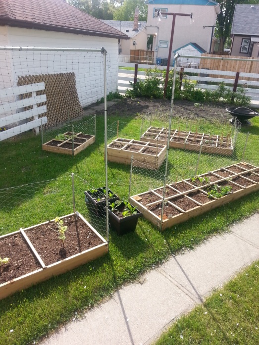 planted square foot garden with trellis